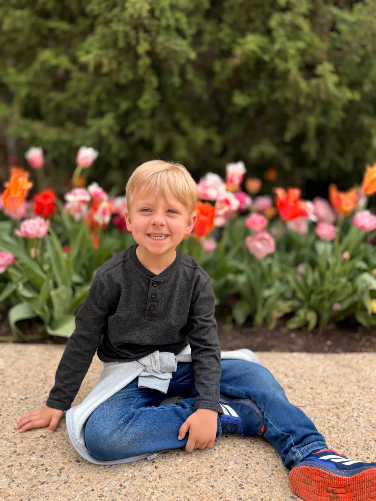 Caleb sitting in front of a bed of spring tulips